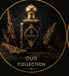 OUD Collection's
